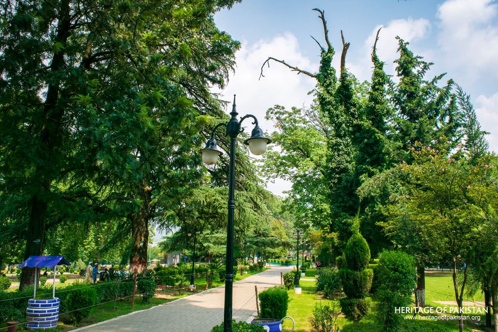Towering evergreens frame Lady Garden Park's tranquil tree-lined promenade.